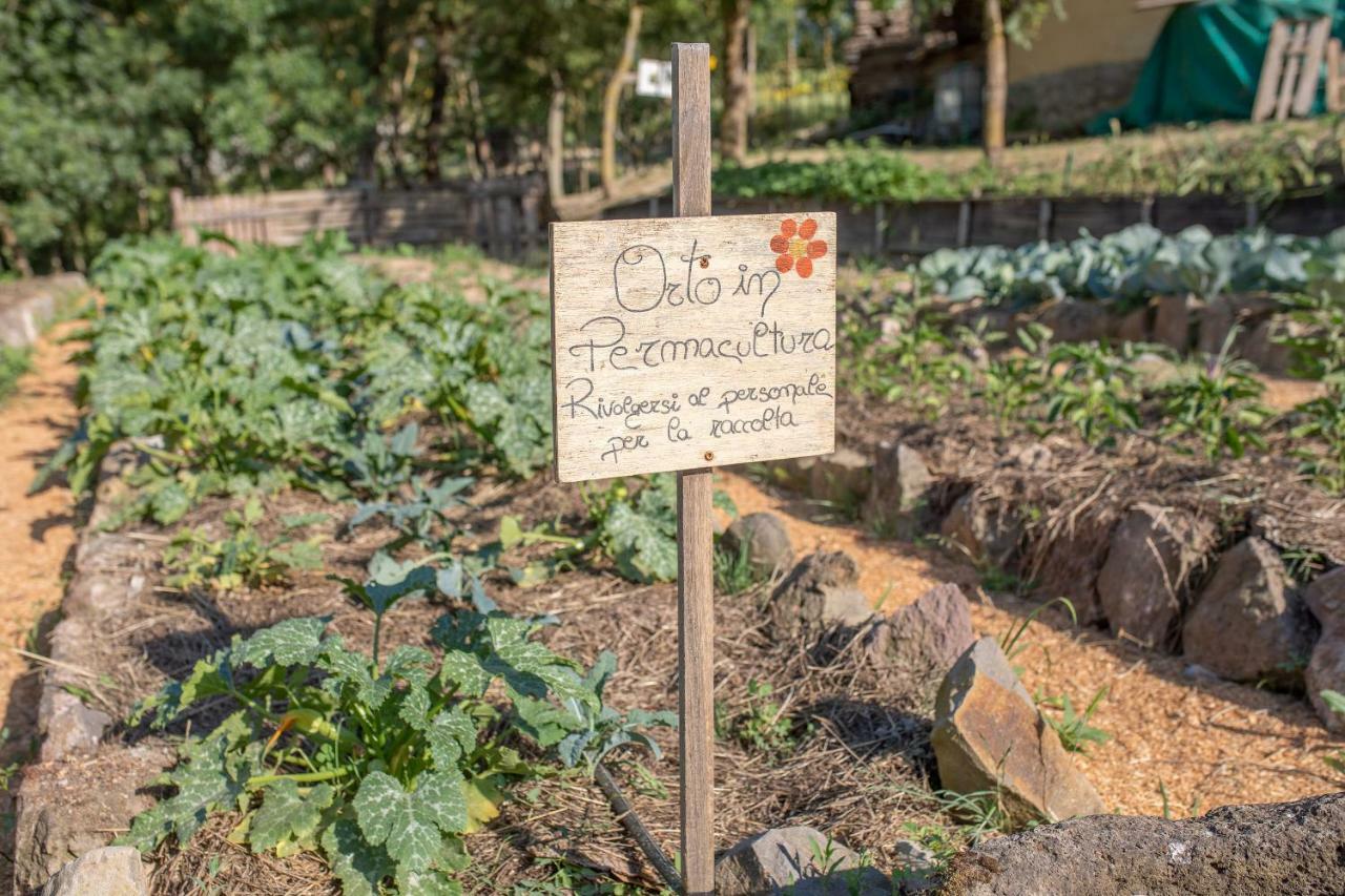 Agriturismo Selvella Radicofani Eksteriør billede